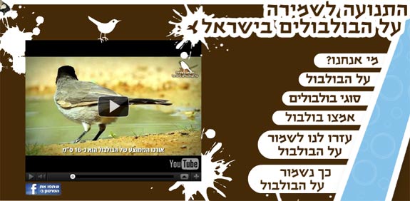 התנועה לשמירה על הבולבולים בישראל / מתוך: האתר הרשמי